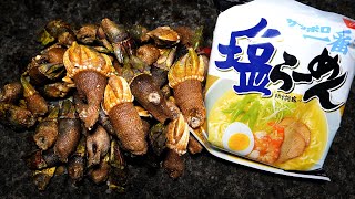 カメの手でダシ取ってラーメン作ってみた【ENG SUB】 [upl. by Bernadina109]