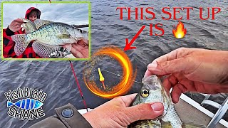 SlipBobber Setup CATCHES SLABS fishing crappie outdoors [upl. by Lugo]