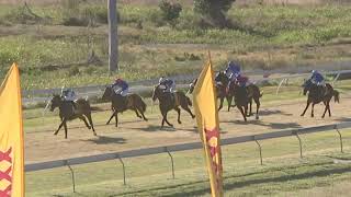 Yeppoon 20240803 Race 4 [upl. by Nawek]