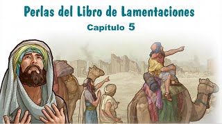 Perlas de LAMENTACIONES 5  La Biblia Reavivados por tu palabra Hedjusan [upl. by Ogilvy]