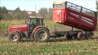 Massey Ferguson 6480 Dyna6  Silagem de Milho 2018  Corn Silage Portugal [upl. by Herr889]