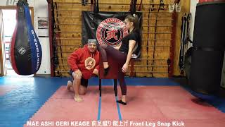 Quarantine Video  27 MAE ASHI GERI KEAGE 前足蹴り 蹴上げ Front Leg Snap Kick [upl. by Tocs]