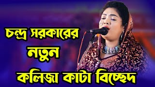 চোখের দেখায় মনের মায়া আমারে পাগল বানাইয়া।বাউল গান। বিচ্ছেদ গান। baul gaan bangla gaan bechced gaan [upl. by Arikaahs]