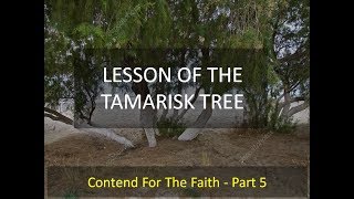 Lesson of the Tamarisk Tree  Contend for the Faith Part 5 [upl. by Franny]