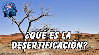 ¿QUÉ ES LA DESERTIFICACIÓN [upl. by Hezekiah]