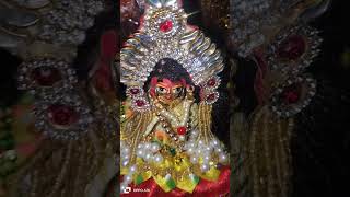 Radhe Radhe ❤️💕 vrindavn love song virandavan radhavallabh vrindavan tulsisong musicgenre [upl. by Dorman221]