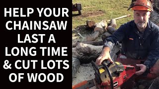 Help Your Chainsaw Last a Long Time amp Cut Lots of Wood [upl. by Arabrab]