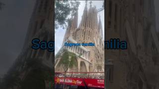 La Sagrada familia 💒 Barcelona sagradafamília barcelona spain shorts2024 [upl. by Stella]