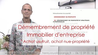 Immobilier professionnel  acheter lusufruit temporaire de limmeuble ou des parts de la SCI [upl. by Winn]