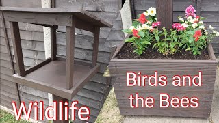 Diy Bird Table Planter Birds and the Bees Timelapse [upl. by Karalee374]