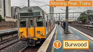 Transport for Sydney Vlog 881 Burwood Station  Morning Peak Trains [upl. by Yklam444]