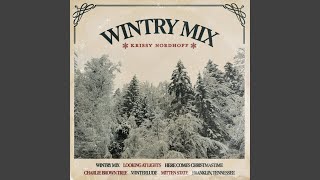 Wintry Mix [upl. by Vite]