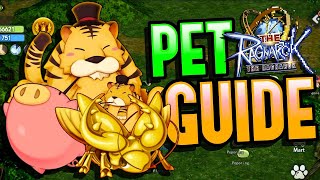 The Ragnarok  Pet Guide [upl. by Tak]