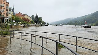 Hochwasser 2024 I Bad Schandau I Sächsische Schweiz I 1609 2024 [upl. by Ainotna]