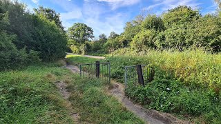 Walking about in Farleigh Woods Live 15082024  Mobile Stream 765 [upl. by Gene]