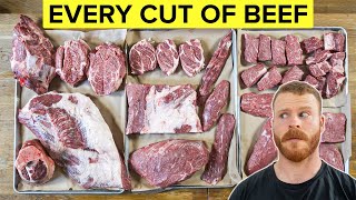 Beef 101 The Beginners Guide to Every Cut of Beef [upl. by Zane216]