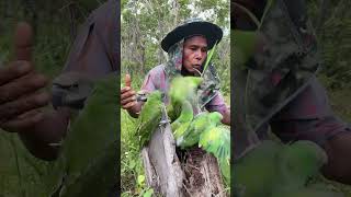 A man walks through the forest and meets a parrot on a tree stumppart2parrot dance anime games [upl. by Nednil]