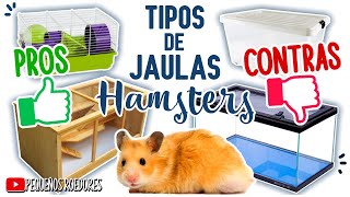 TIPOS de JAULAS para HAMSTER  TODO LO QUE DEBES SABER [upl. by Adnoek84]