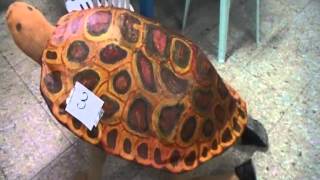 tortoise fancy dress competition [upl. by Cesya693]