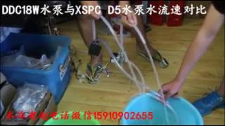 Pump DDC Laing 18w vs Pump XSPC D5 [upl. by Enyrhtac]