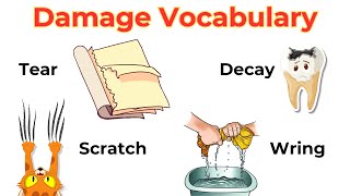 Damage Verbs  Action Verbs  English Vocabulary  Common English words  Native English [upl. by Anayad]