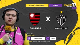 AO VIVO  FLAMENGO x ATLÉTICO MG 0311 [upl. by Llenrub]