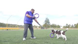 Puller Dog Fitness Tool  Running [upl. by Aurea]