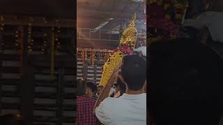 Ettumanoor Mahadeva Temple Ulsavam 2024 [upl. by Hsur]