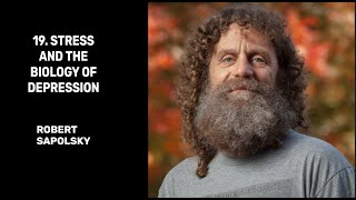 19 Stress and the Biology of Depression  Robert Sapolsky [upl. by Labannah]