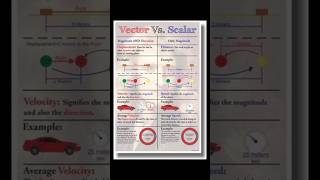 Vector vs Scalarshorts vector scalar physics jee2025 neet2025 [upl. by Narra35]