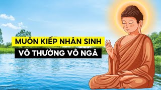 Muôn Kiếp Nhân Sinh  Vô Thường Vô Ngã Duyên Sinh [upl. by Wylde]