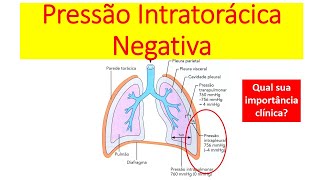 O que é Pressão Intratorácica Negativa [upl. by Copeland]