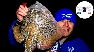 Beach Fishing  Night Fishing Hints amp Tips Plus Thornback Ray Fishing At Felixstowe [upl. by Marybelle]