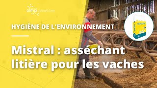 Mistral asséchant litière pour les vaches [upl. by Barram]