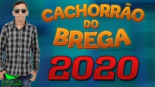 CACHORRÃO DO BREGA 2020  AOW PAIXÃO [upl. by Vinaya284]