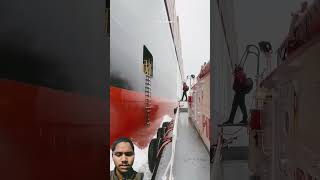 ship longboardlife automobile foilboarding cruise longboarder cruiseship longboarding boat [upl. by Seaddon]