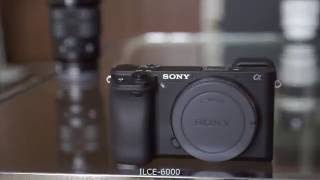 SONY a6000 vs a6300 AF TEST [upl. by Keelia]