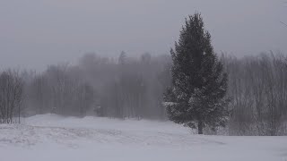 Śnieżna zamieć relaksujący dźwięk wiatru silny wiatr i śnieg  4K Ultra HD [upl. by Sayer600]