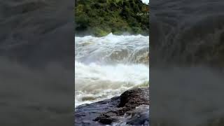 Murchison falls Uganda [upl. by Bobbe]