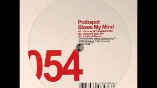 Probspot ‎– Blows My Mind Hammer amp Funabashi Mix [upl. by Nilrah313]