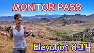 Solo Adventure In California  Monitor Pass [upl. by Ativel]