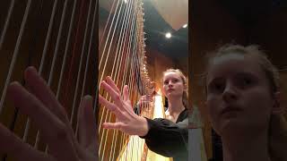 Prokofiev Symphony No5 3rd movement figure 76 harp solo [upl. by Scherle]