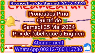 Pronostics Pmu Quinté de Samedi 25 Mai 2024 Prix de lObélisque à Enghien [upl. by Hnahk118]