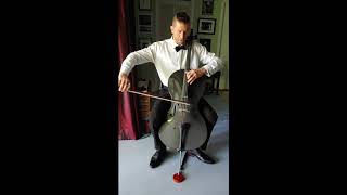 For Your Eyes Only Theme Song Played On Cello [upl. by Rodolphe]