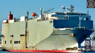 Shipspotting 4K LOS ANGELESLONG BEACH Ports September 2024 [upl. by Retsam918]