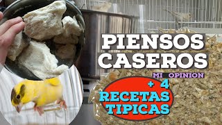 MI OPINIÓN DE LOS PIENSOS CASEROS PARA CANARIOS  Las 4 recetas más tipicas [upl. by Lakym830]