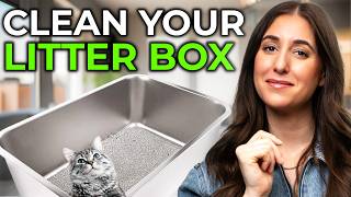 How To Keep Your Cats Litter Box Clean Tips amp Tools [upl. by Zeni]