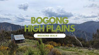 Bogong High Plains [upl. by Moyra]