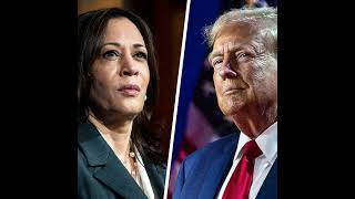 Harris Vs Trump  Who will Win Allan Lichtman American Political Scientist Prediction [upl. by Olympie399]