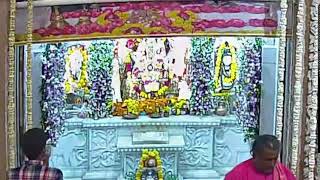 Maa Bhagvati Bhuvneshwari Mataji Live darshan [upl. by Nyladnarb]